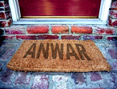 anwar